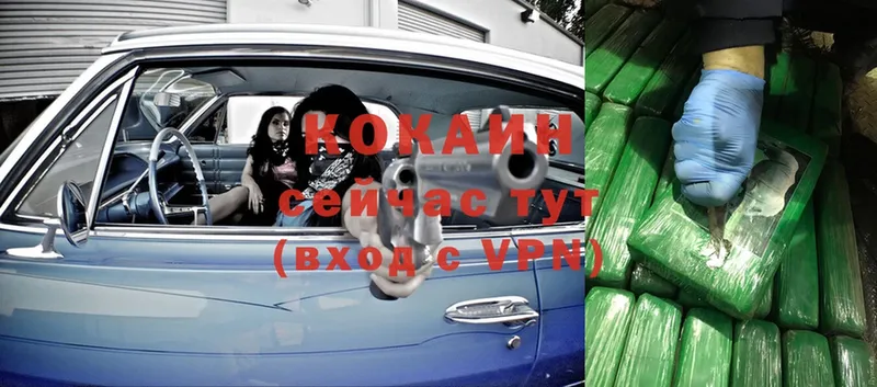 COCAIN VHQ Динская